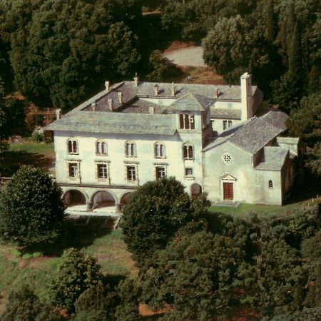 Gite Au Chateau Cagninacci San-Martino-di-Lota 외부 사진